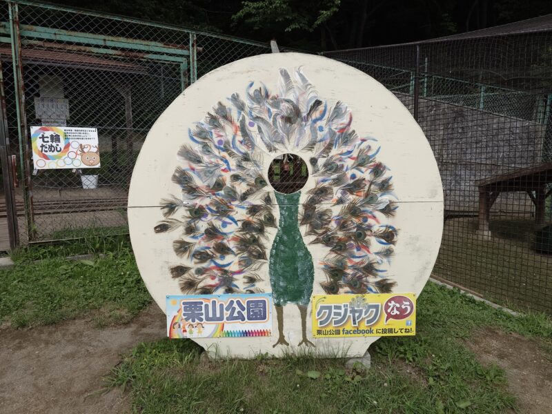 栗山公園「クジャク」顔ハメ看板