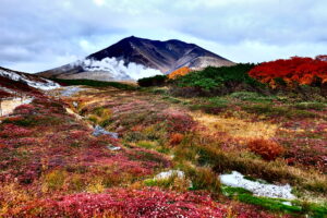 旭岳の紅葉