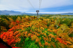 旭岳の紅葉