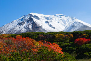 旭岳の紅葉