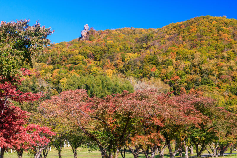 烏帽子岩公園