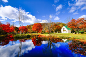 福原山荘の紅葉