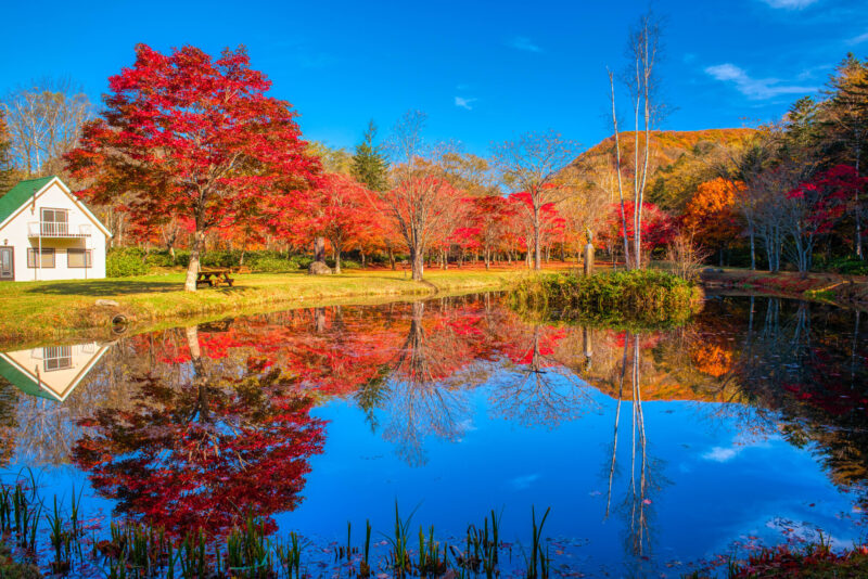 福原山荘の紅葉