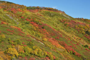 赤岳銀泉台の紅葉