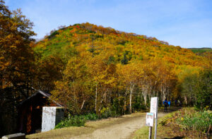 赤岳銀泉台の紅葉