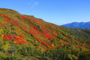 赤岳銀泉台の紅葉