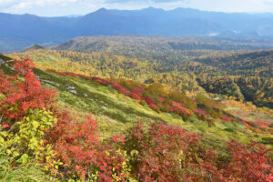 赤岳銀泉台の紅葉