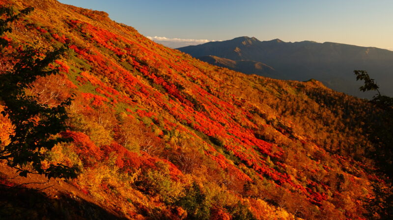 赤岳銀泉台の紅葉