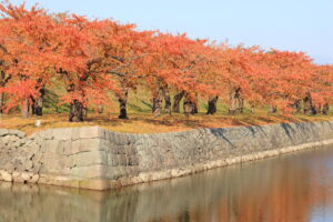 五稜郭公園