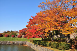 五稜郭公園