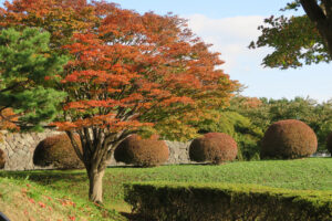 五稜郭公園