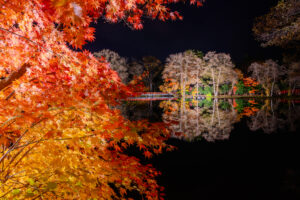 八郎沼公園の紅葉