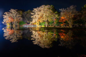 八郎沼公園の紅葉