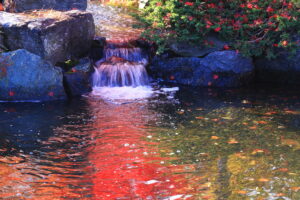 平岡樹芸センター(みどりーむ)