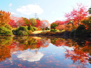 平岡樹芸センター(みどりーむ)