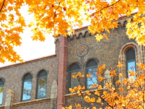 北大いちょう並木(北海道大学イチョウ並木)