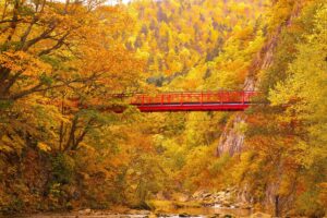 定山渓温泉の紅葉