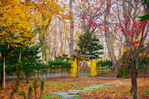 神楽岡公園の紅葉