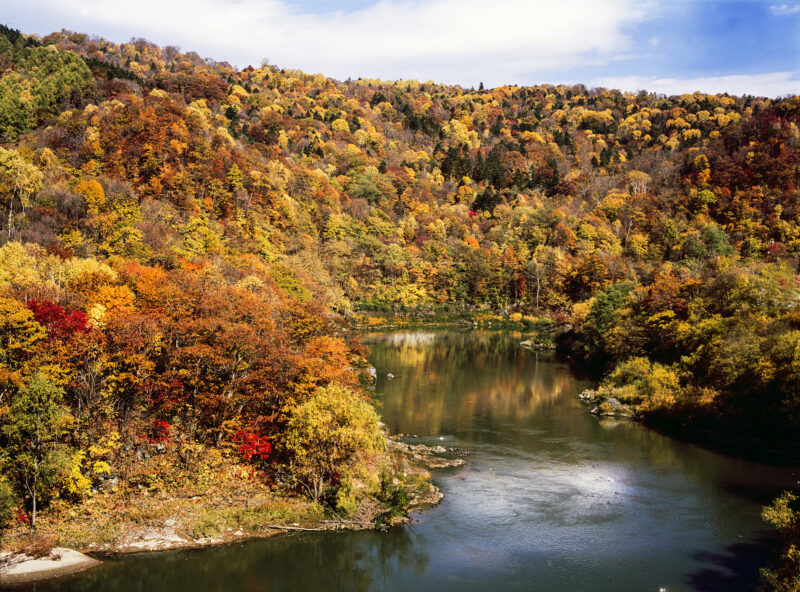 神居古潭の紅葉