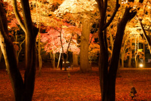 旧岩船氏庭園(函館香雪園)の紅葉