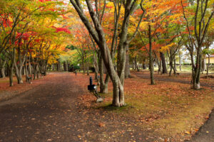 旧岩船氏庭園(函館香雪園)の紅葉