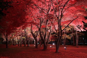 旧岩船氏庭園(函館香雪園)の紅葉