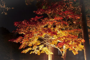 旧岩船氏庭園(函館香雪園)の紅葉