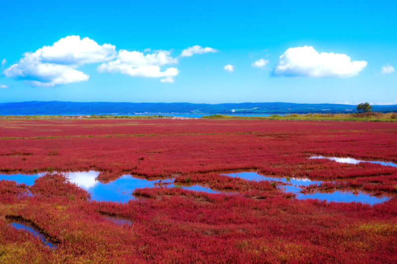 北海道網走市の紅葉名所一覧