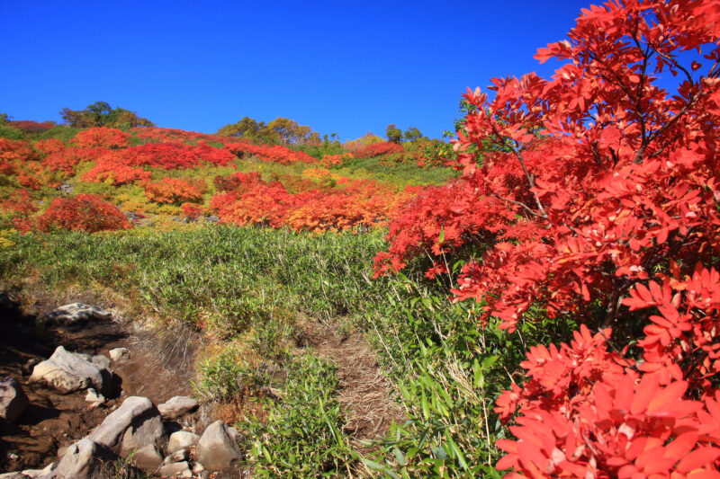 北海道遠軽町の紅葉名所一覧