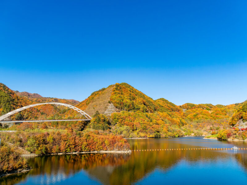 北海道北斗市の紅葉名所一覧