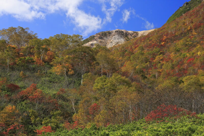 北海道倶知安町の紅葉名所一覧