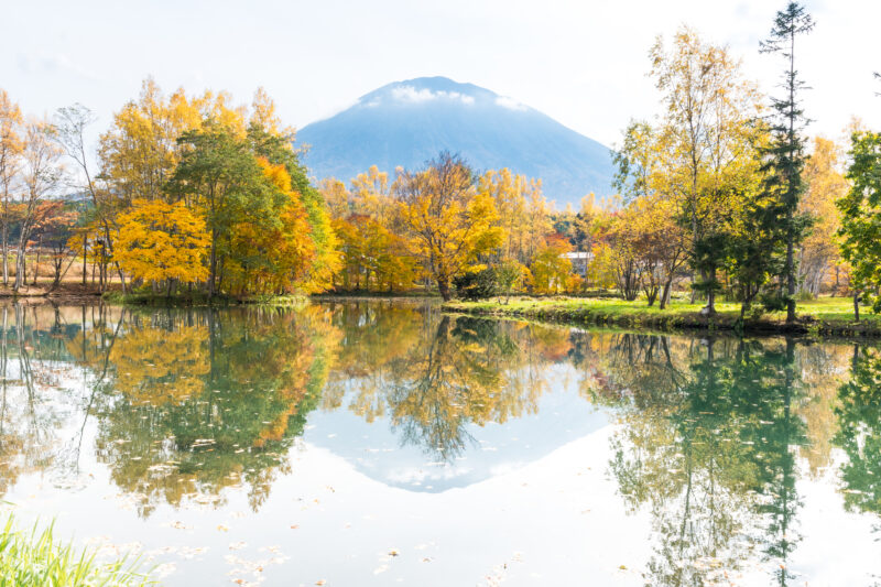 北海道京極町の紅葉名所一覧