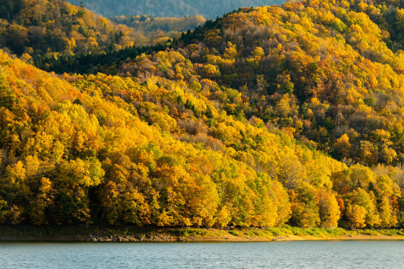 北海道南富良野町の紅葉名所一覧