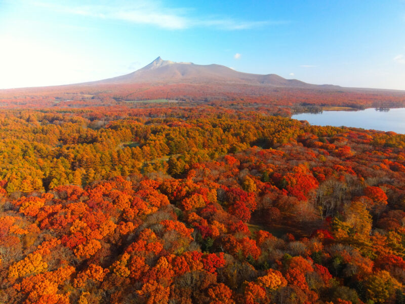 北海道七飯町の紅葉名所一覧