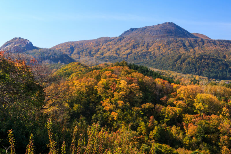 北海道壮瞥町の紅葉名所一覧