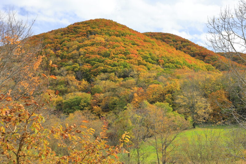 北海道津別町の紅葉名所一覧