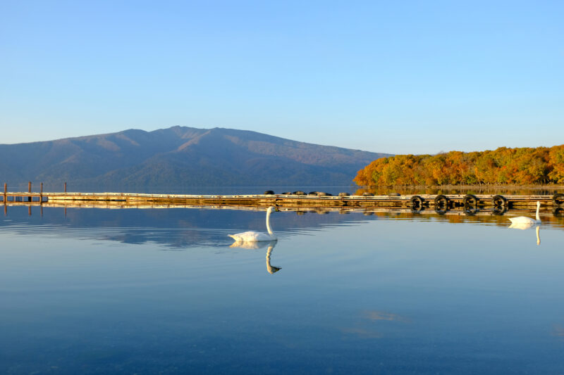 屈斜路湖の紅葉