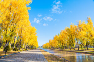 前田森林公園