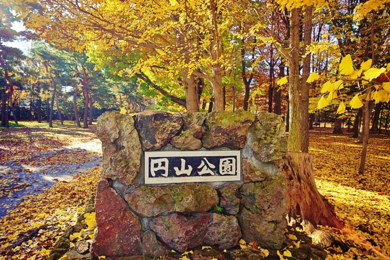 円山公園の紅葉