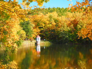 西岡公園の紅葉