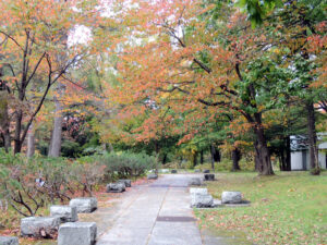 野付牛公園