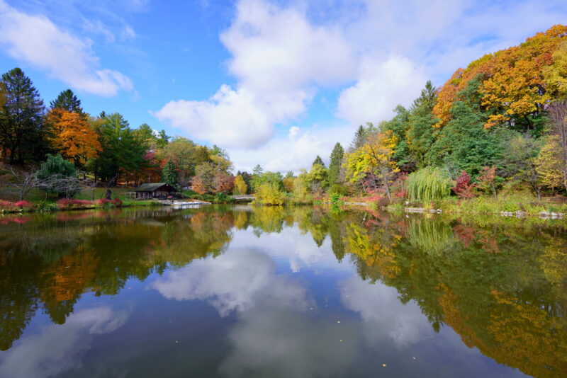 野付牛公園