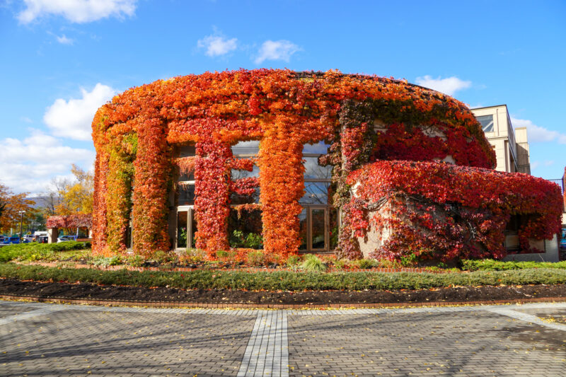 農試公園