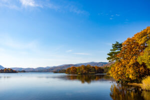 錦大沼公園の紅葉