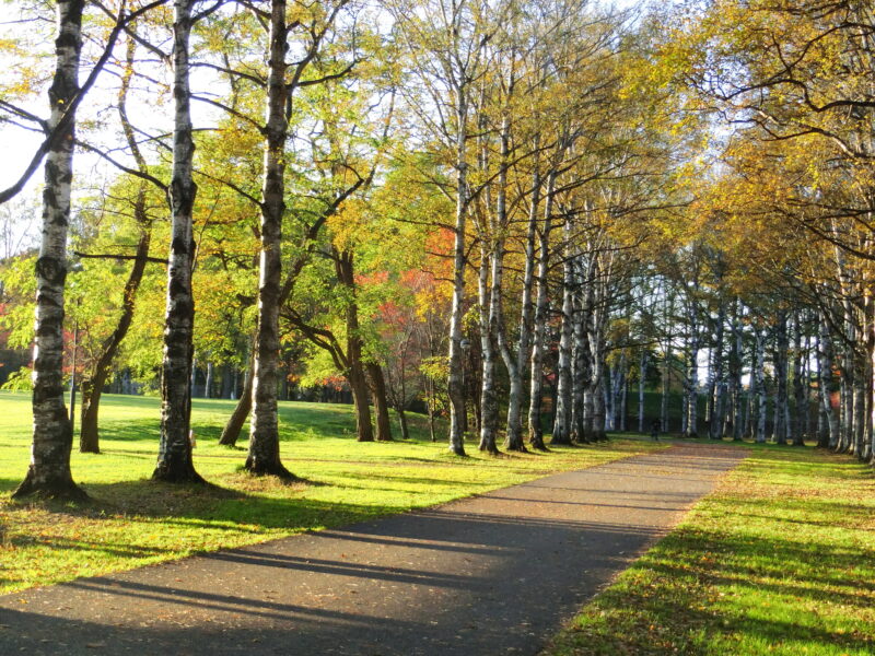 緑ヶ丘公園