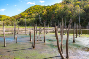 落合ダム親水広場