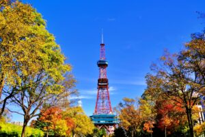 大通公園の紅葉