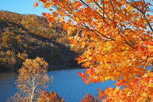 オタルナイ湖(朝里ダム)の紅葉