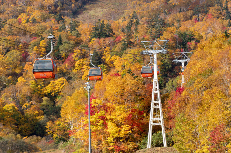 札幌国際スキー場の紅葉