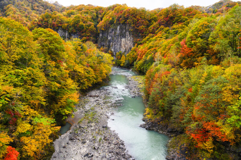 沙流川渓谷